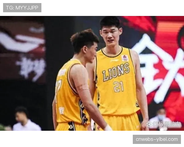 季后赛席位争夺白热化，四支球队将争夺最后两个名额